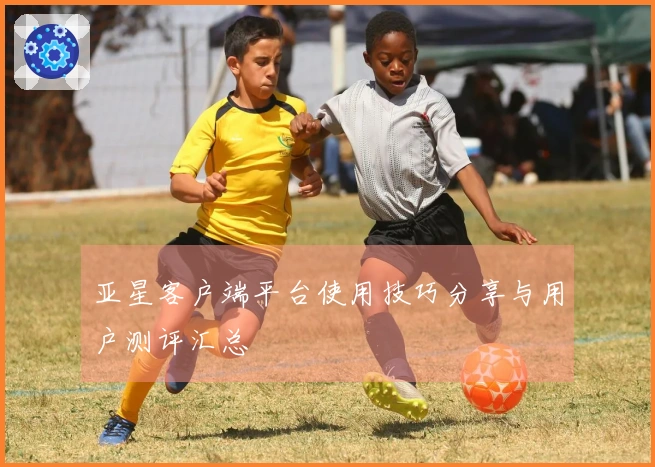 亚星客户端平台使用技巧分享与用户测评汇总