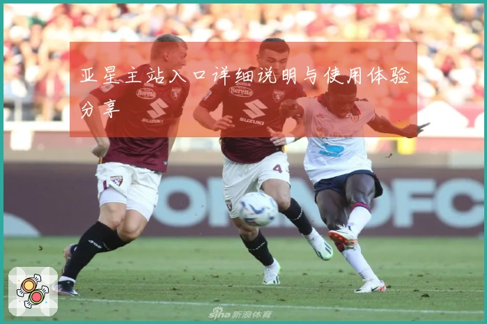亚星主站入口详细说明与使用体验分享