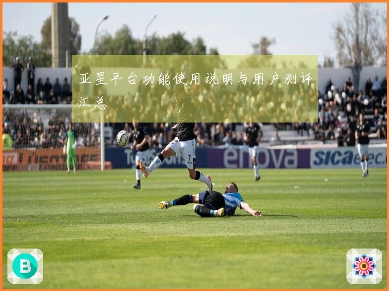 亚星平台功能使用说明与用户测评汇总