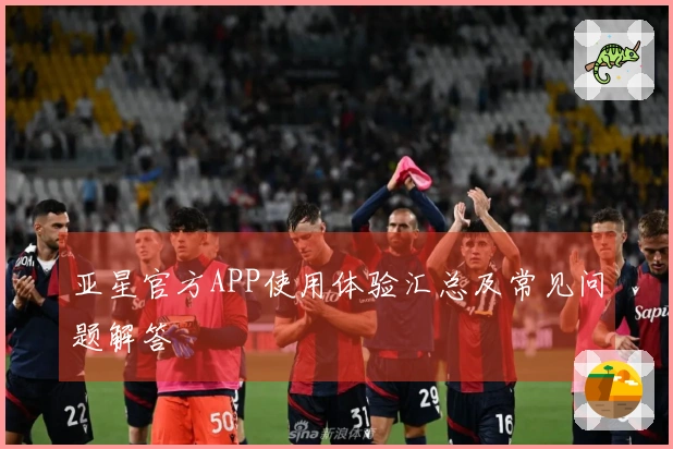 亚星官方APP使用体验汇总及常见问题解答