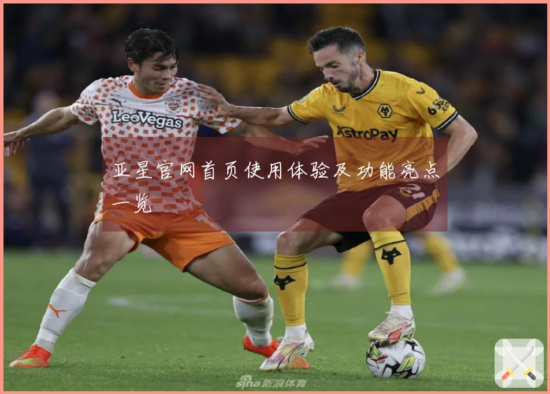 亚星官网首页使用体验及功能亮点一览